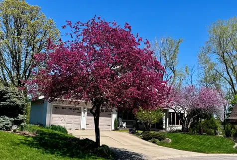 2024 Telemark Court NW Rochester MN 55901