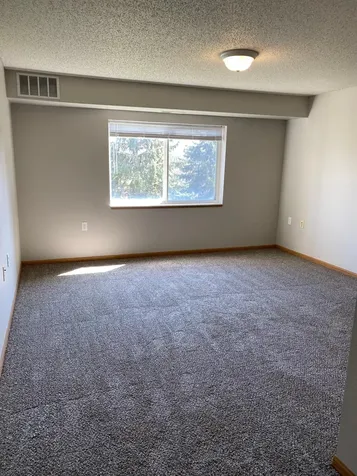 1321 Lake Drive W Chanhassen MN 55317