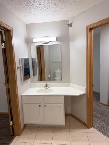 1321 Lake Drive W Chanhassen MN 55317