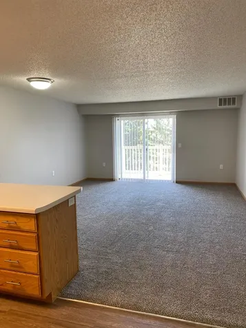 1321 Lake Drive W Chanhassen MN 55317
