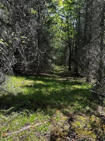3451 E Alger Grade Two Harbors MN 55616
