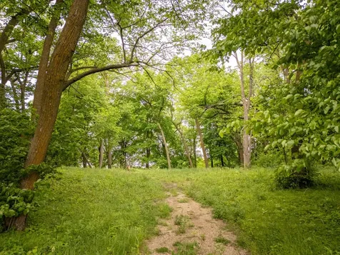 15988 Solitude Court NW Evansville MN 56326