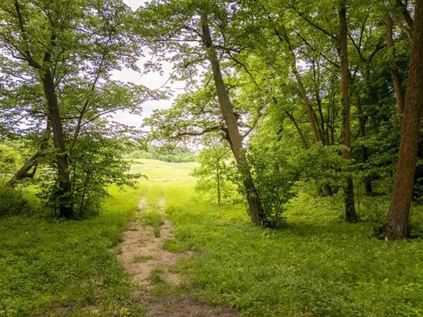 15988 Solitude Court NW Evansville MN 56326