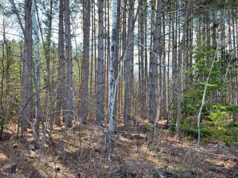 Tbd 695th Avenue Roosevelt MN 56673