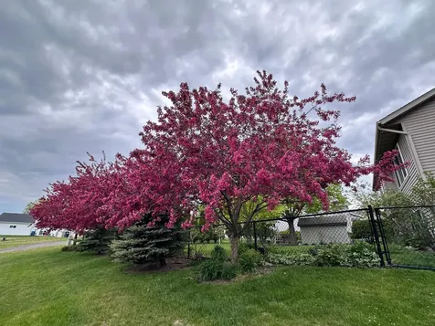 1281 Agate Court Sauk Rapids MN 56379