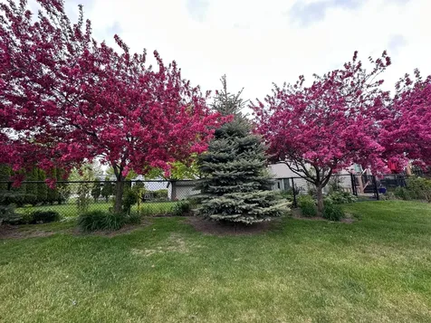 1281 Agate Court Sauk Rapids MN 56379