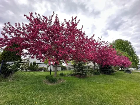 1281 Agate Court Sauk Rapids MN 56379