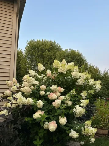 1281 Agate Court Sauk Rapids MN 56379