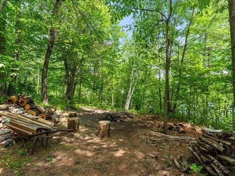 7298 Sweetbrier Trail NW Walker MN 56433