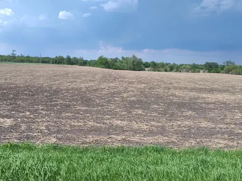 Tbd N 90th Street N Glyndon MN 56547