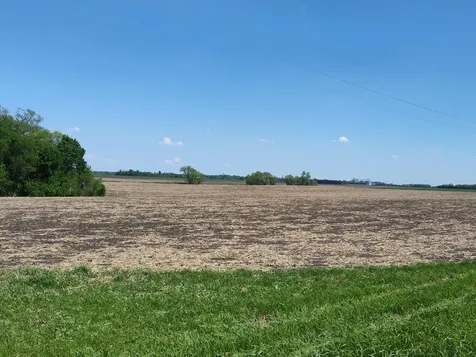 Tbd N 90th Street N Glyndon MN 56547