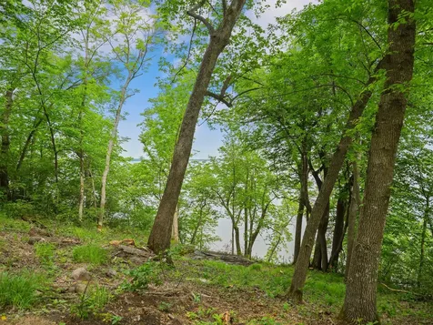 483XX Squaw Point Trail Perham MN 56573