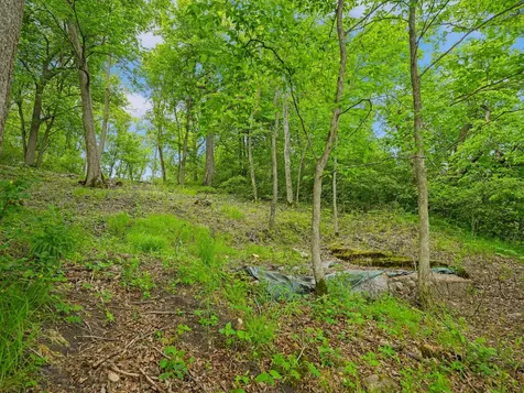 483XX Squaw Point Trail Perham MN 56573