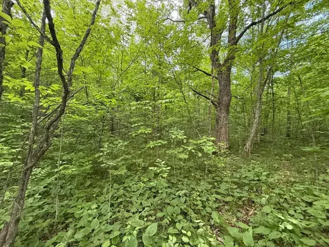 Tbd Sandhill Crane Lane Pine City MN 55063