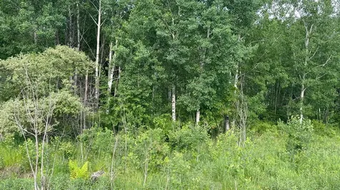 Tbd Sandhill Crane Lane Pine City MN 55063