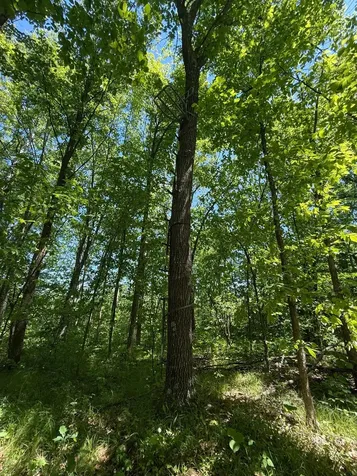 Tbd Sandhill Crane Lane Pine City MN 55063