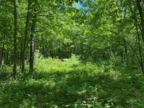 Tbd Sandhill Crane Lane Pine City MN 55063