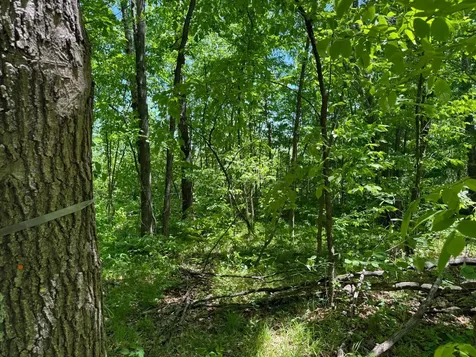 Tbd Sandhill Crane Lane Pine City MN 55063