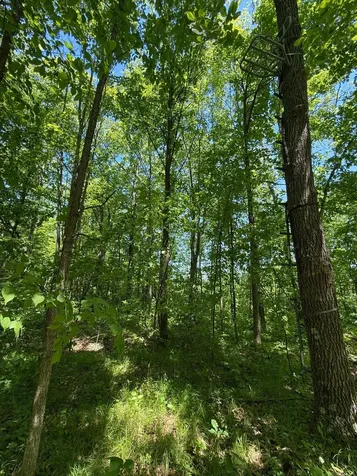 Tbd Sandhill Crane Lane Pine City MN 55063