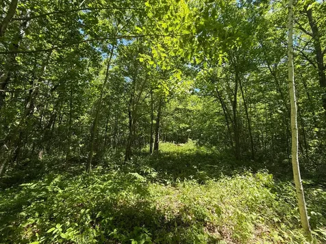 Tbd Sandhill Crane Lane Pine City MN 55063