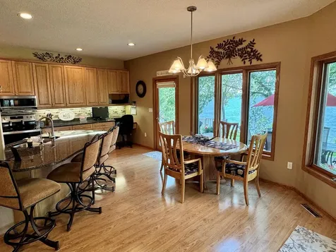 33678 Wildwood Drive Dent MN 56528