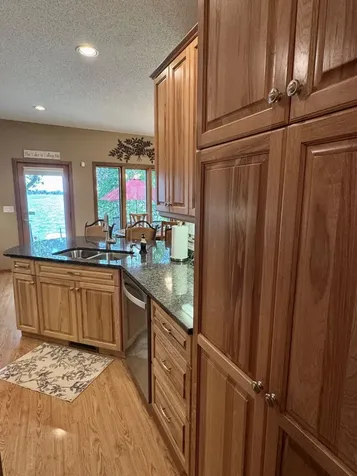 33678 Wildwood Drive Dent MN 56528