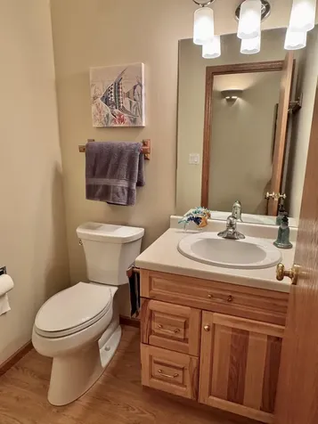 33678 Wildwood Drive Dent MN 56528