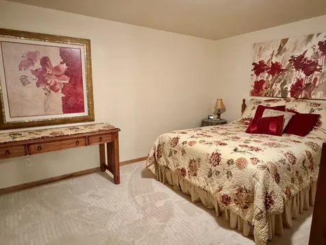 33678 Wildwood Drive Dent MN 56528