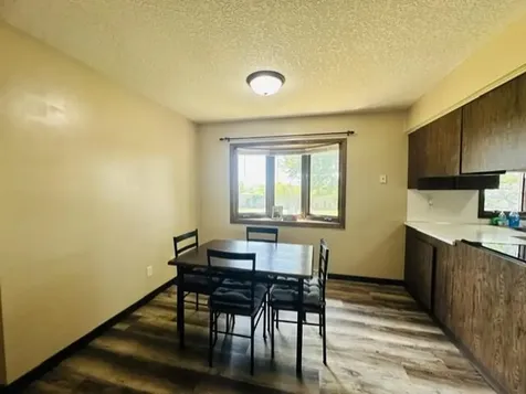 527 Oak Avenue N Maple Lake MN 55358