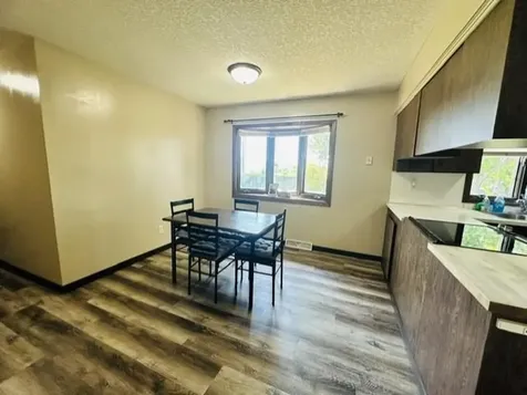 527 Oak Avenue N Maple Lake MN 55358