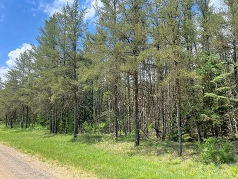 Tbd County 109 Menahga MN 56464