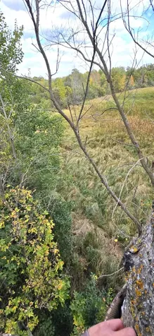 Parcel Tbd 250th Street Mahnomen MN 56557