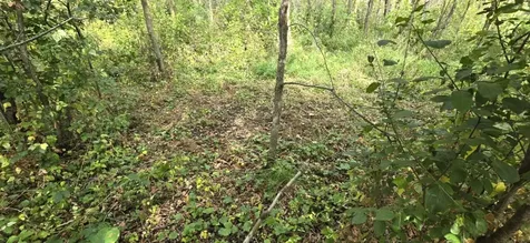 Parcel Tbd 250th Street Mahnomen MN 56557