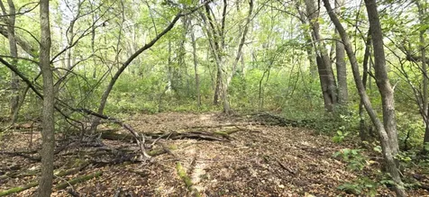 Parcel Tbd 250th Street Mahnomen MN 56557
