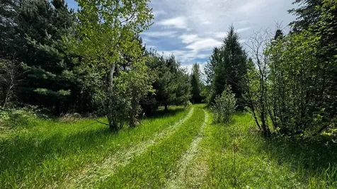 Tbd Highway 169 Virginia MN 55792