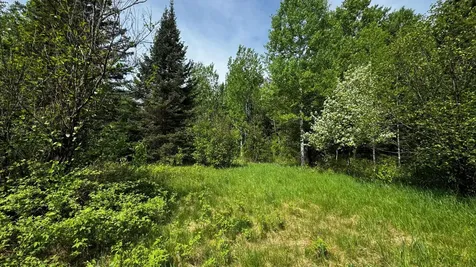 Tbd-b Highway 169 Virginia MN 55792