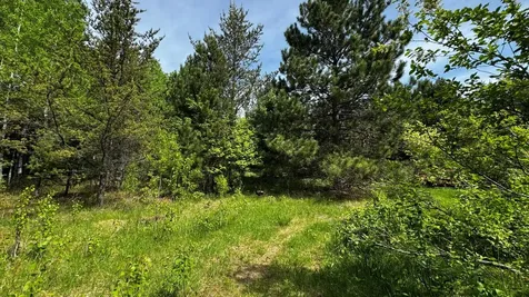 Tbd-b Highway 169 Virginia MN 55792