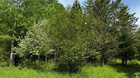 Tbd-b Highway 169 Virginia MN 55792