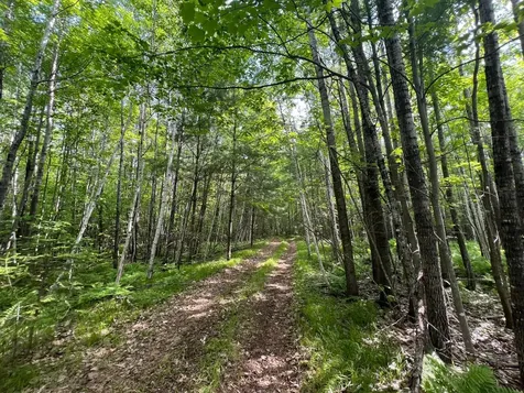 7151 E County Road A Solon Springs WI 54873