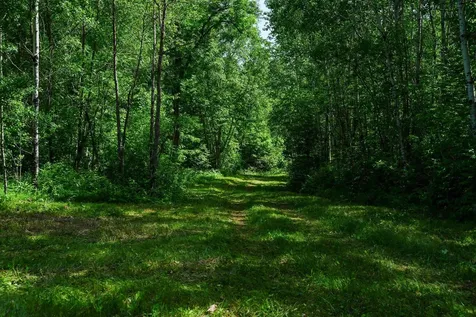 Tbd County Highway 47 Osage MN 56570