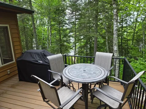 7716 S Little Thunder Lake Drive NE Remer MN 56672