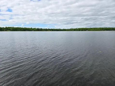 7716 S Little Thunder Lake Drive NE Remer MN 56672