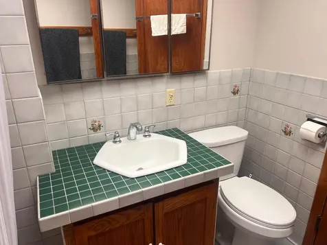 311 S Tyler Street Tyler MN 56178