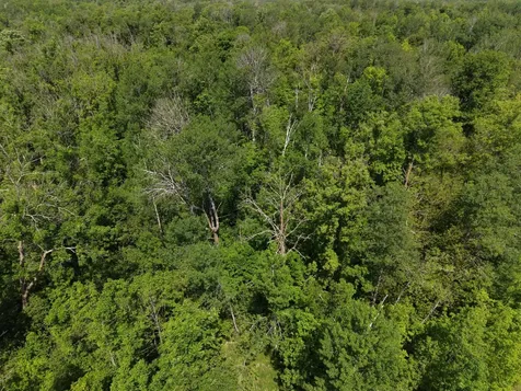 Tbd Highway 65 Isle MN 56342