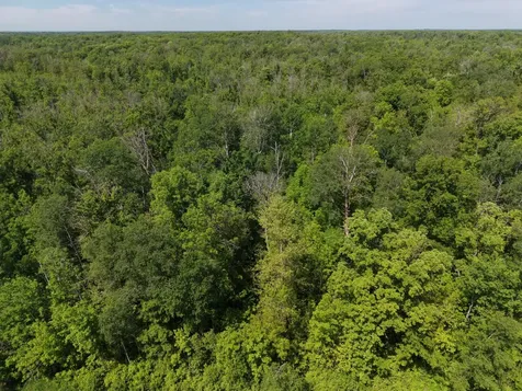 Tbd Highway 65 Isle MN 56342