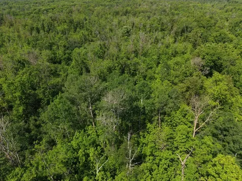 Tbd Highway 65 Isle MN 56342