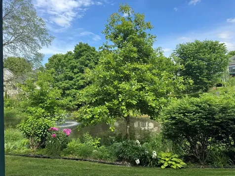 10548 Spyglass Drive Eden Prairie MN 55347