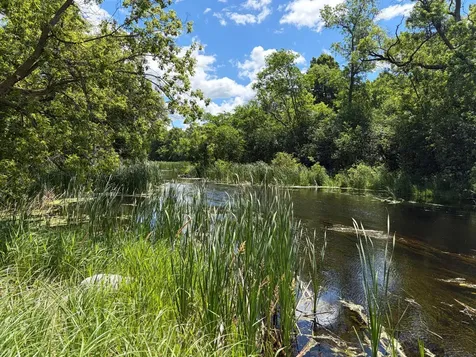 22264 County Road 43 Richmond MN 56368