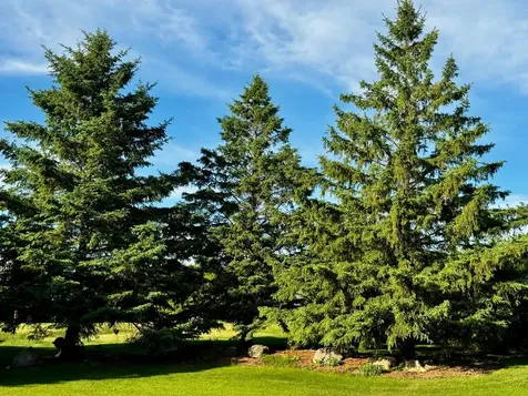 2441 Highland Trail SW Alexandria MN 56308