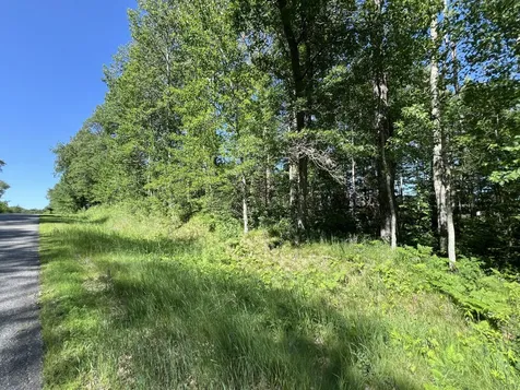Lot 8 Terminal Road Breezy Point MN 56472
